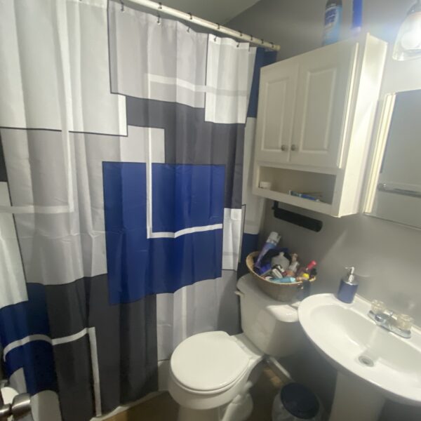 145000 | 3506 Saint Genevieve Ln., Saint Ann, MO 630743506 Saint Genevieve bathroom with a blue and gray shower curtain