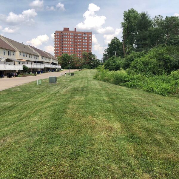 696000 | 5416 Delmar Place Ct., St. Louis, MO 63112Delmar Place Lots showing the grass lots with built lots in the background