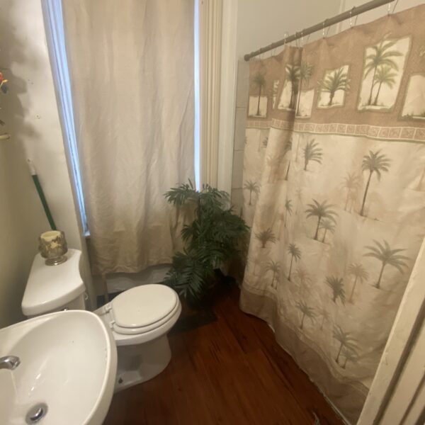 189900 | 3519 Miami St., St. Louis, MO 631183519 Miami bathroom with palm tree shower curtain