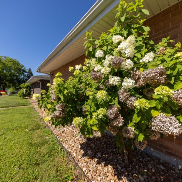 850000 | 2225 North 4th St., St. Charles, MO 633012225 North 4th exterior along the side of the lighter brick building with flower bushes