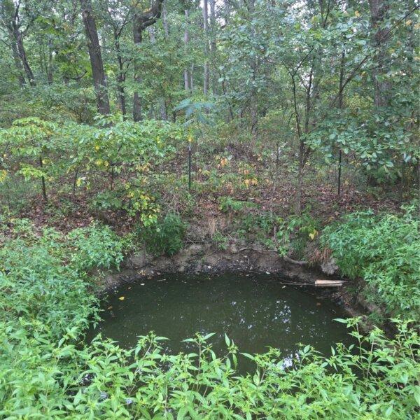 52000 | 10021 Lark Rd, Potosi, MO 63664