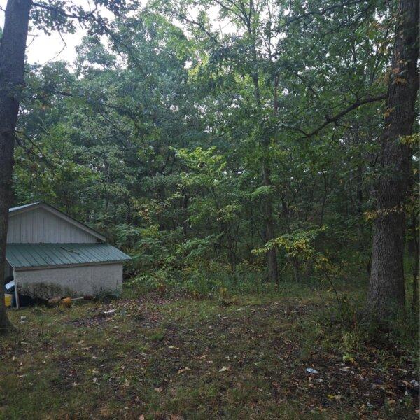 52000 | 10021 Lark Rd, Potosi, MO 63664