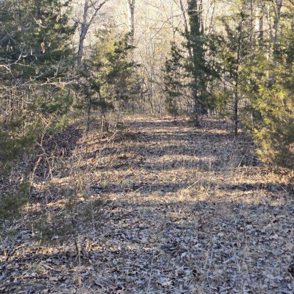 125000 | 8490 Red Bud Ln, Dittmer, MO 63023