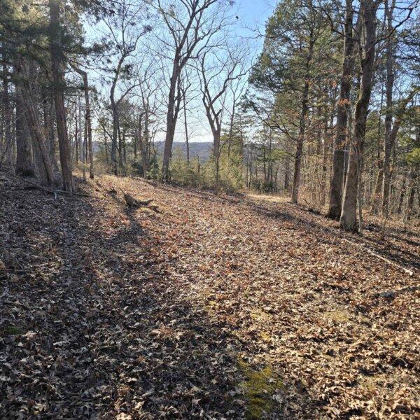 125000 | 8490 Red Bud Ln, Dittmer, MO 63023