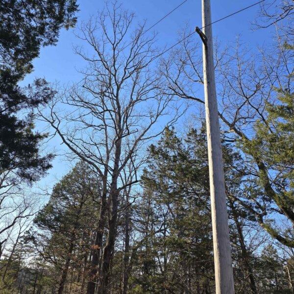 125000 | 8490 Red Bud Ln, Dittmer, MO 63023