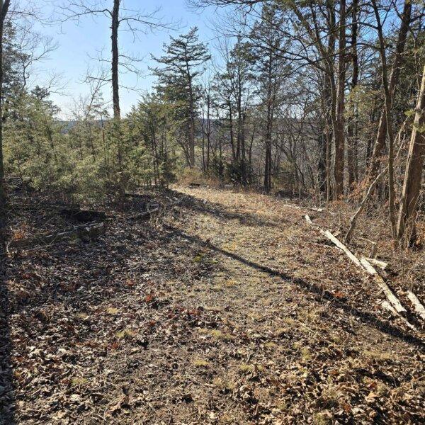 125000 | 8490 Red Bud Ln, Dittmer, MO 63023