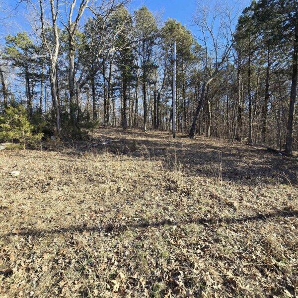 125000 | 8490 Red Bud Ln, Dittmer, MO 63023