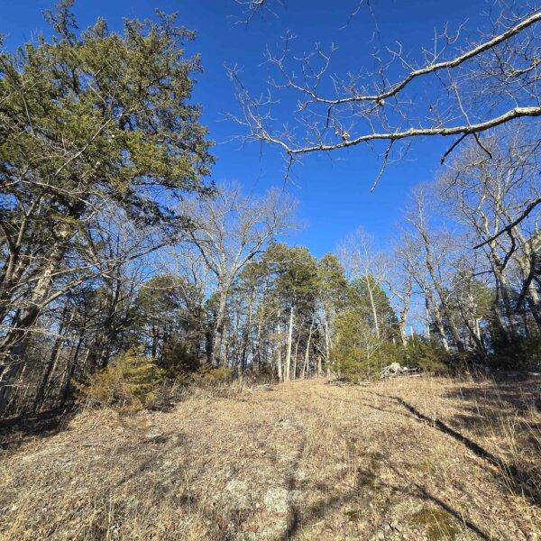 125000 | 8490 Red Bud Ln, Dittmer, MO 63023