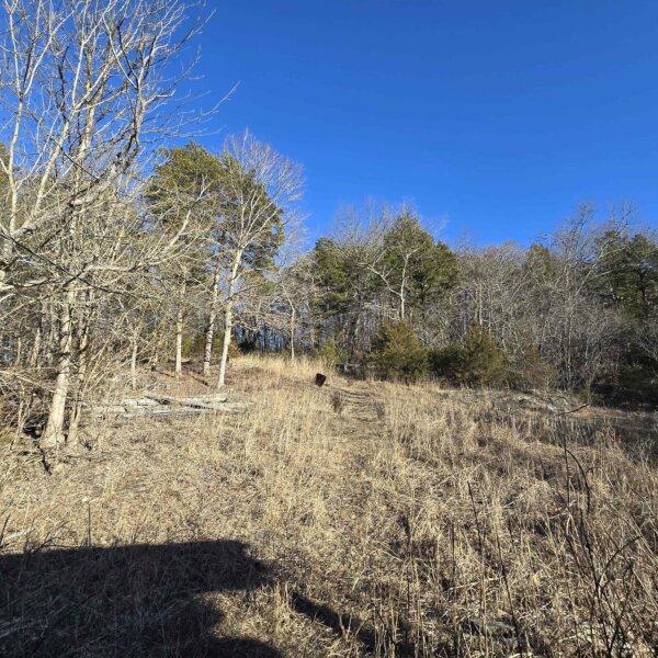 125000 | 8490 Red Bud Ln, Dittmer, MO 63023