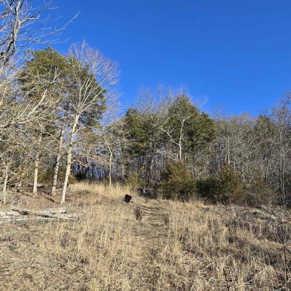 125000 | 8490 Red Bud Ln, Dittmer, MO 63023