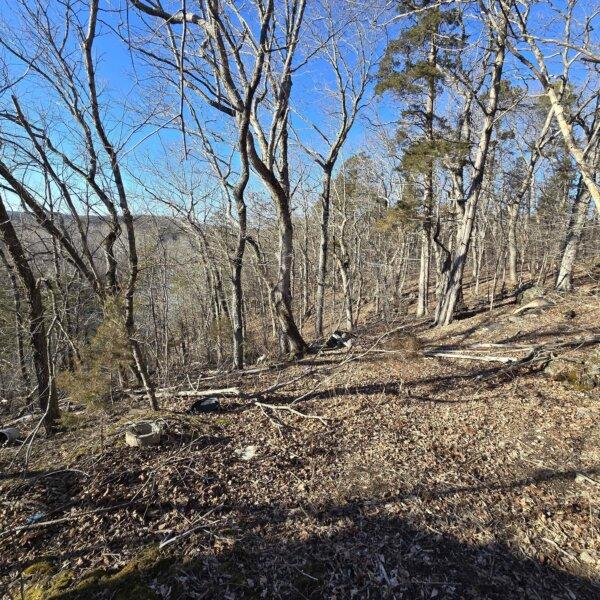 125000 | 8490 Red Bud Ln, Dittmer, MO 63023