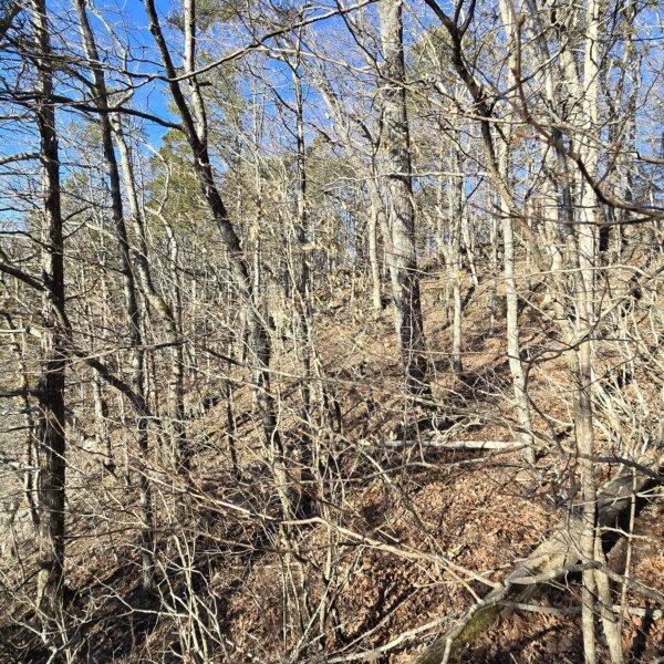 125000 | 8490 Red Bud Ln, Dittmer, MO 63023