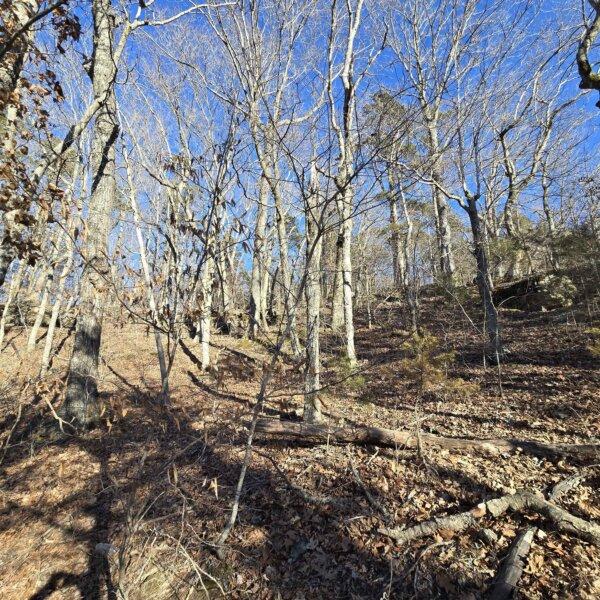 125000 | 8490 Red Bud Ln, Dittmer, MO 63023