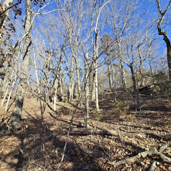 125000 | 8490 Red Bud Ln, Dittmer, MO 63023