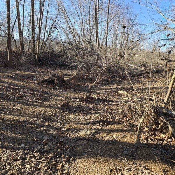 125000 | 8490 Red Bud Ln, Dittmer, MO 63023