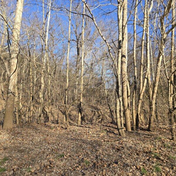 125000 | 8490 Red Bud Ln, Dittmer, MO 63023