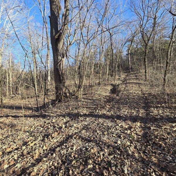 125000 | 8490 Red Bud Ln, Dittmer, MO 63023